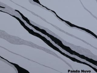 Panda Nuvo