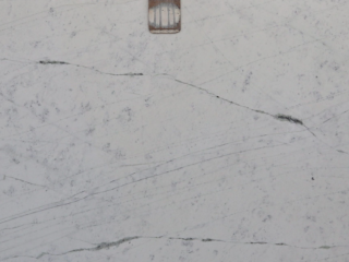 Fiore Bianco
